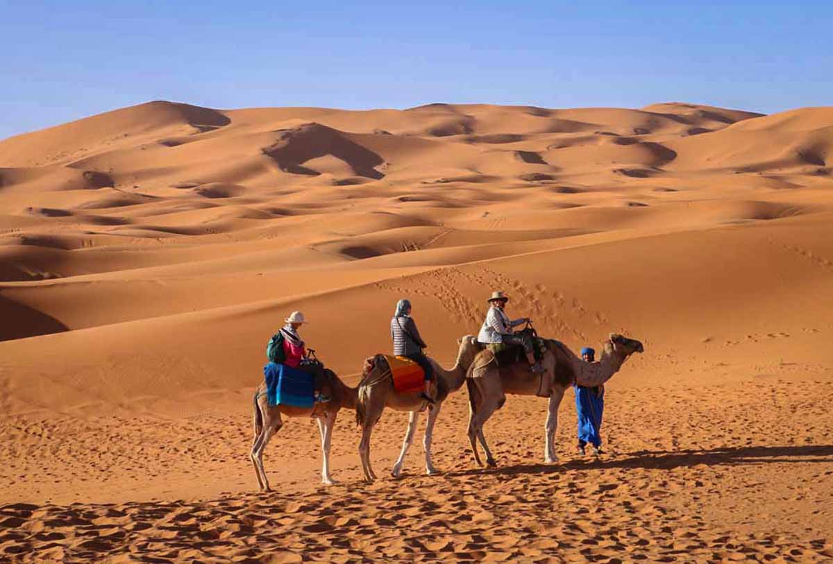 A camel trek through the Sahara